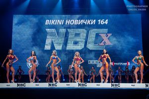 BIKINI НОВИЧКИ 164